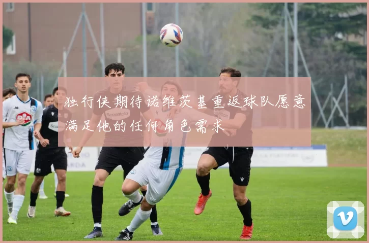 独行侠期待诺维茨基重返球队愿意满足他的任何角色需求