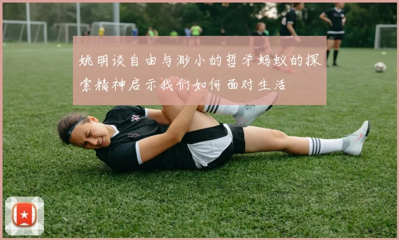 姚明谈自由与渺小的哲学蚂蚁的探索精神启示我们如何面对生活
