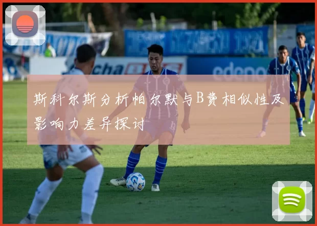 斯科尔斯分析帕尔默与B费相似性及影响力差异探讨