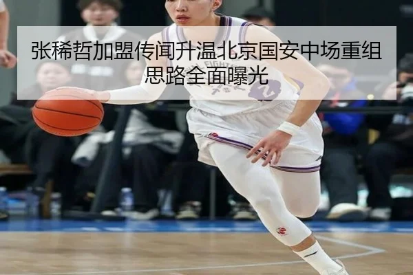 张稀哲加盟传闻升温北京国安中场重组思路全面曝光